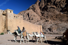 A-Desert-Scene-of-Men-Leading-Camels-near-St.-Catherines-4th-Century-Monastery-Base-of-Mt.-Sinai-Egypt-scaled