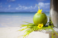 Coconut-at-the-beach-of-Mauritius.-Background-the-Indian-Ocean-scaled