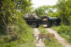 Kruger-National-Park