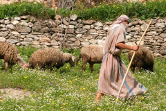 Shepherd-and-Flock-nazareth-scaled