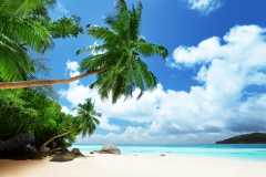 beach-on-Mahe-island-in-Seychelles